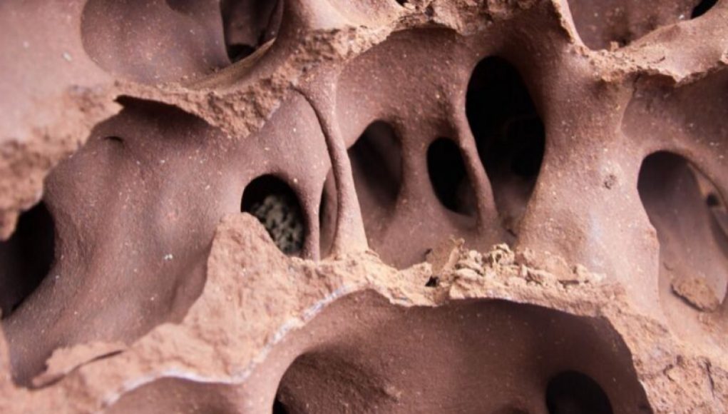 Buildings Can Stay Cool Without A/C by Mimicking Networked Tunnels of Termite Mounds