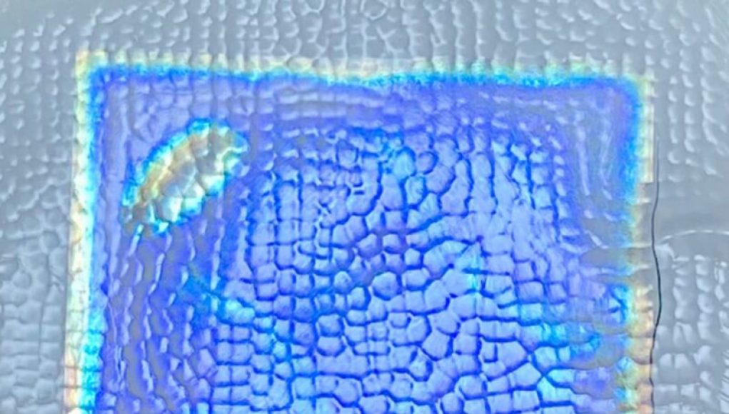 Plant-Based Iridescent Films Keep Cool in the Sun to Beat the Heat