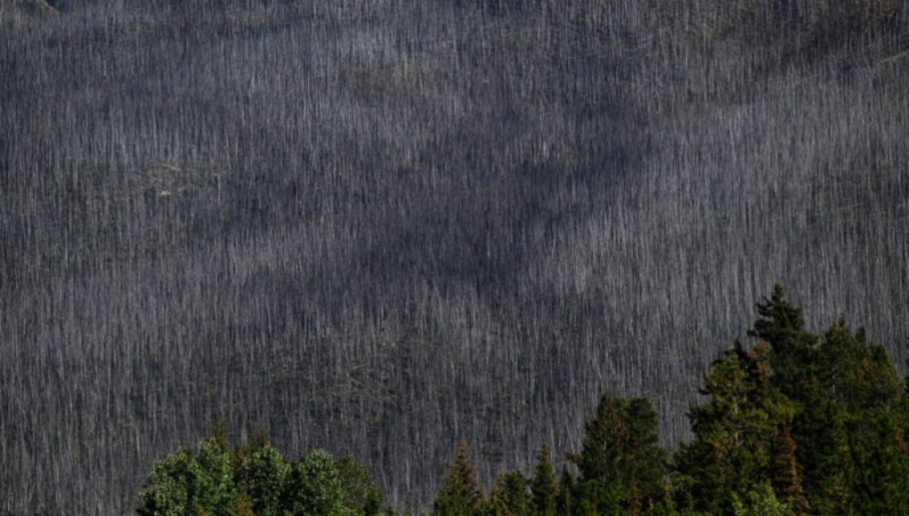 Planet heats up as wildfires rage in the far north.