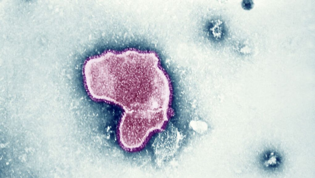 RSV vaccine approved by FDA for adults 60+ in historic decision.