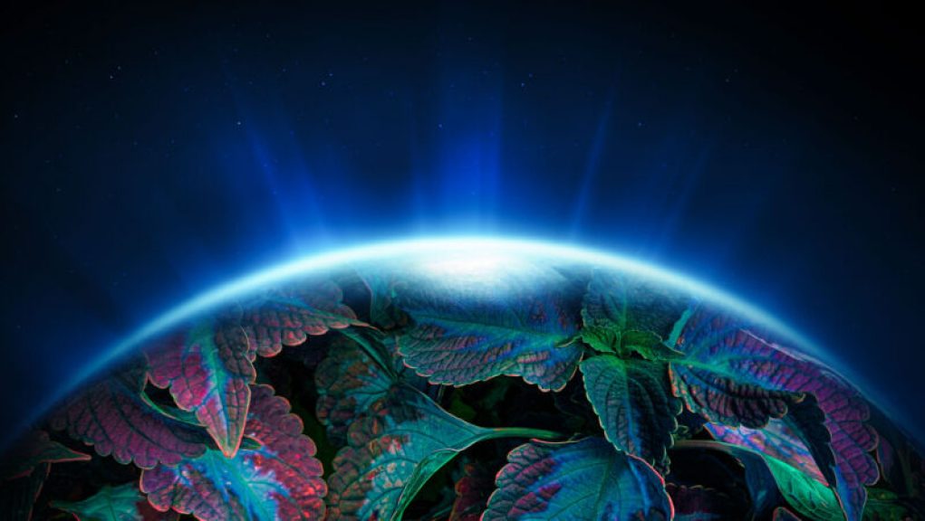 The Complex Evolution of Earth’s Atmosphere into a Breathable Environment