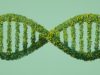 DNA from Environmental Studies Can Be Used to Identify Individuals DNA from Environmental Studies Can Be Used to Identify Individuals