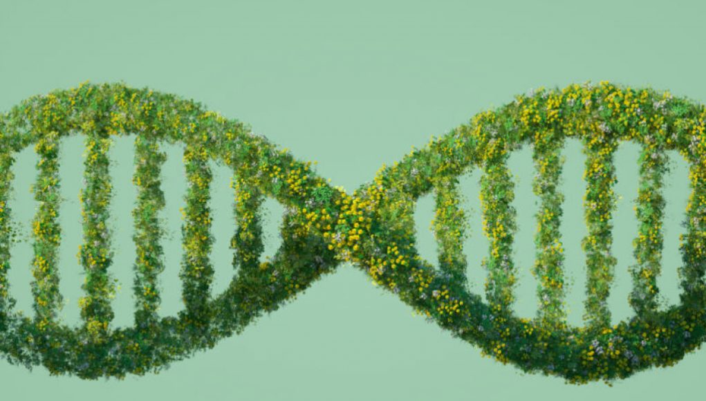 DNA from Environmental Studies Can Be Used to Identify Individuals