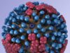 Milestone Achieved: Clinical Trial Begins for mRNA-Based Universal Flu Vaccine “Milestone Achieved: Clinical Trial Begins for mRNA-Based Universal Flu Vaccine”
