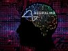 Neuralink Receives FDA Approval to Commence Clinical Trials Neuralink Receives FDA Approval to Commence Clinical Trials