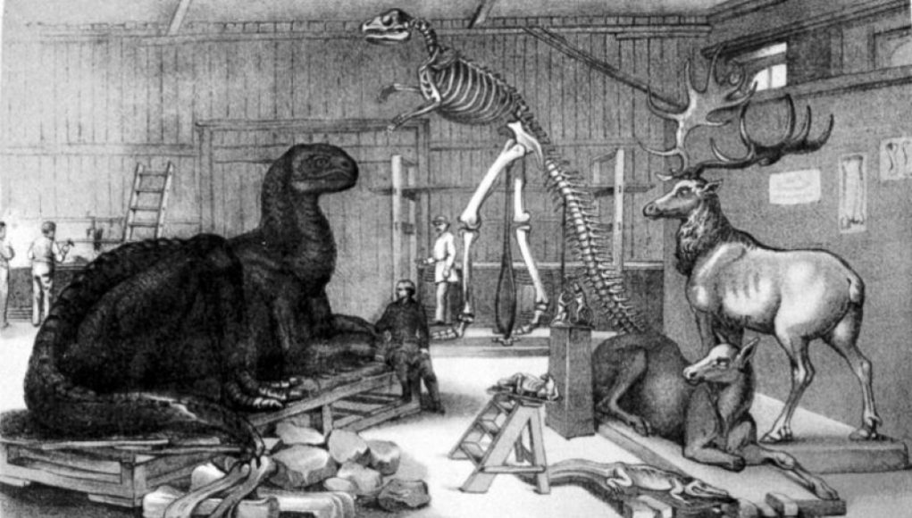 Uncovering the True Perpetrator of the 1871 Vandalism at Central Park’s Paleozoic Museum
