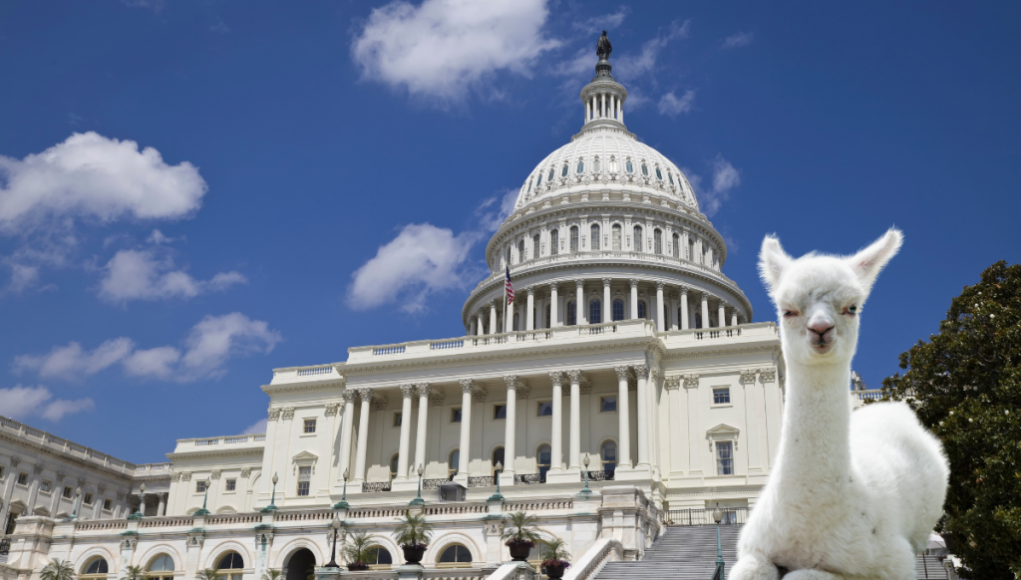 Senators Question Mark Zuckerberg Over Meta’s LLaMA Leak in Letter