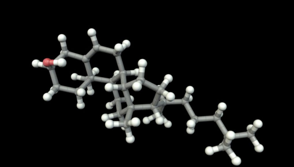 “Billion-Year-Old Grease Suggests Complex Cells Have a Lengthy Past”