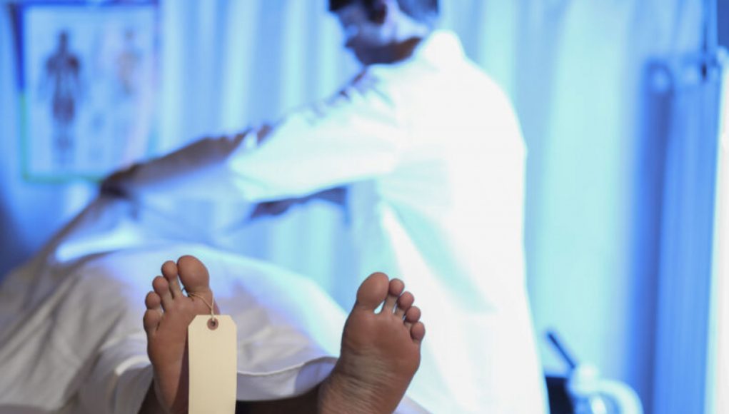 Federal Authorities Arrest Members of Body-Part Trafficking Ring for Stealing Organs, Faces, and Dead Babies