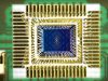 Intel to Begin Shipping Quantum Processor Intel to Begin Shipping Quantum Processor