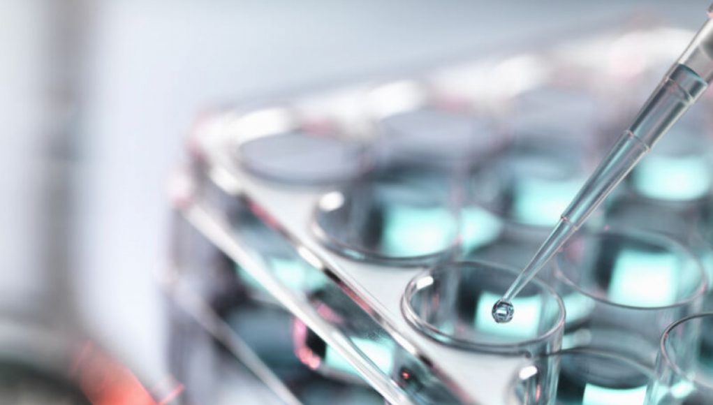 “How to Eliminate Forever Chemicals: Experts Share Solutions”