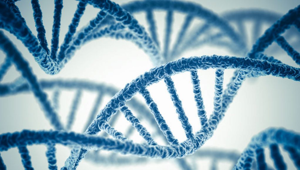 Clever DNA Manipulation Techniques