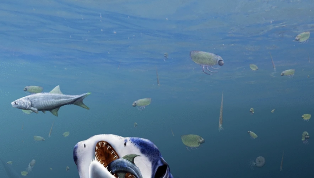 Surprising Discovery: Fossilized Shark Reveals Ability to Smell in Stereo