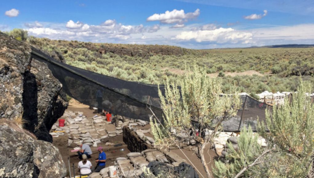 Oldest Stone Tools Ever Discovered in the United States