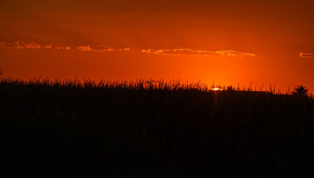 Unrelenting Heat Wave Ravages the United States