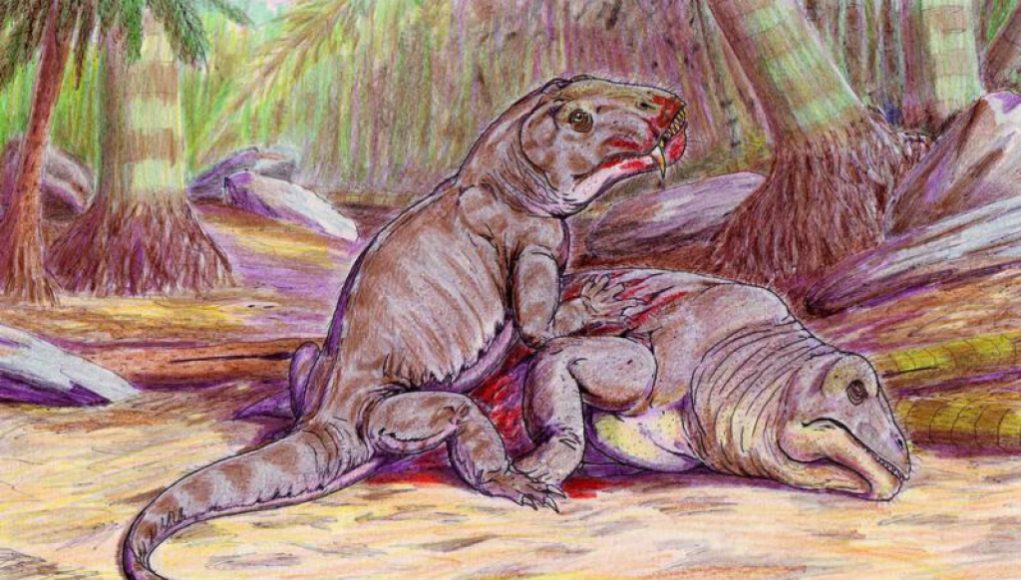 Climate Change Blamed for Ancient Mass Extinction Event 260 Million Years Ago