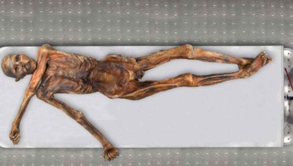 New Genetic Analysis of Ötzi the Iceman Reveals Unexpected Discoveries