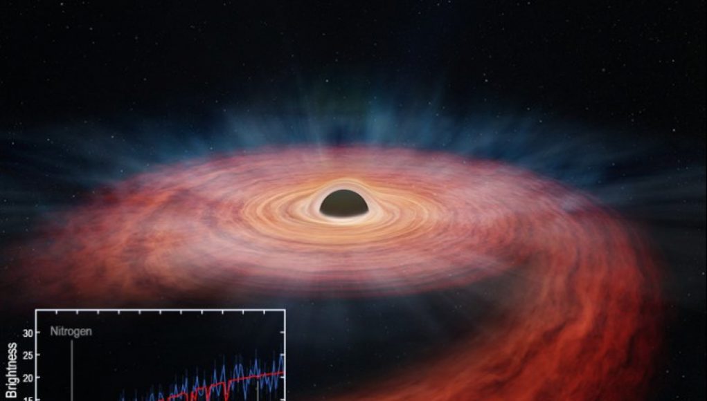 “Monster Black Hole’s Devastating Impact Unveiled in Star’s Autopsy”